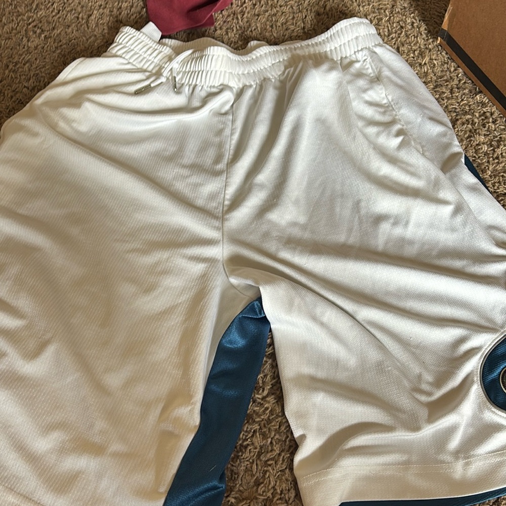 Jordan shorts